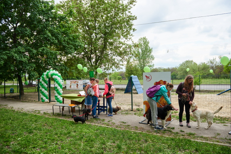 На Салтівці відкрили майданчик для дресирування собак