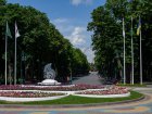 У вихідні в Харкові - до 30 градусів тепла і дощ