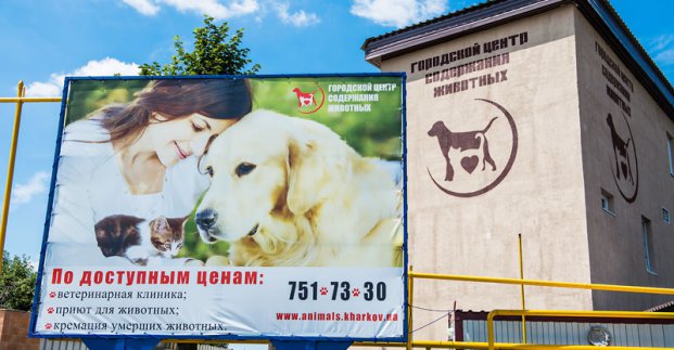 Харківський притулок знайшов дім для 1700 тварин і будує контакт-центр