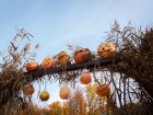 ЗомбіFest, конкурс гарбузів і костюмів - у парку Горького відсвяткують Хеллоуїн 