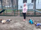У Шевченківському районі відкрили майданчик для вигулу собак
