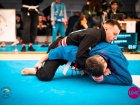 Харківські борці успішно виступили на чемпіонаті в Києві