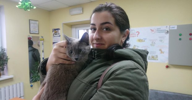 У Центрі поводження з тваринами знайшли господарів для 2 тисяч вихованців