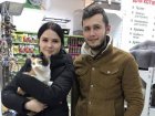 У Харкові завдяки благодійному проєкту знайшли будинок для ста котів