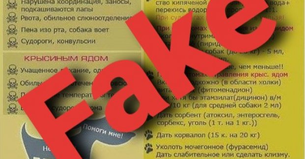 У притулку для тварин спростовують фейкову інформацію з соцмереж