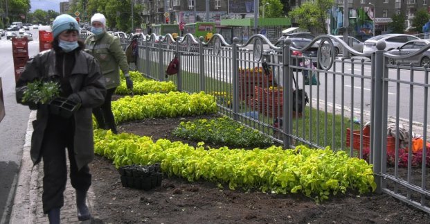 Квіткове панно та різнобарвні змійки: озеленювачі прикрашають проспект Науки