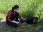 У притулку для тварин пройшов День відкритих дверей