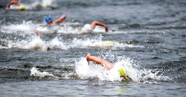 Харків'яни стали чемпіонами України з плавання на відкритій воді