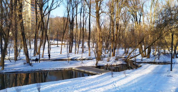 Завтра вдень у Харкові - до 4 градусів морозу