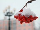 У вихідні в Харкові - до 5 градусів тепла