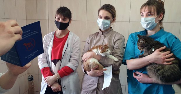 У ветклініці притулку для тварин відкрилася безкоштовна школа