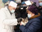 У Харкові розпочалася щорічна вакцинація домашніх тварин