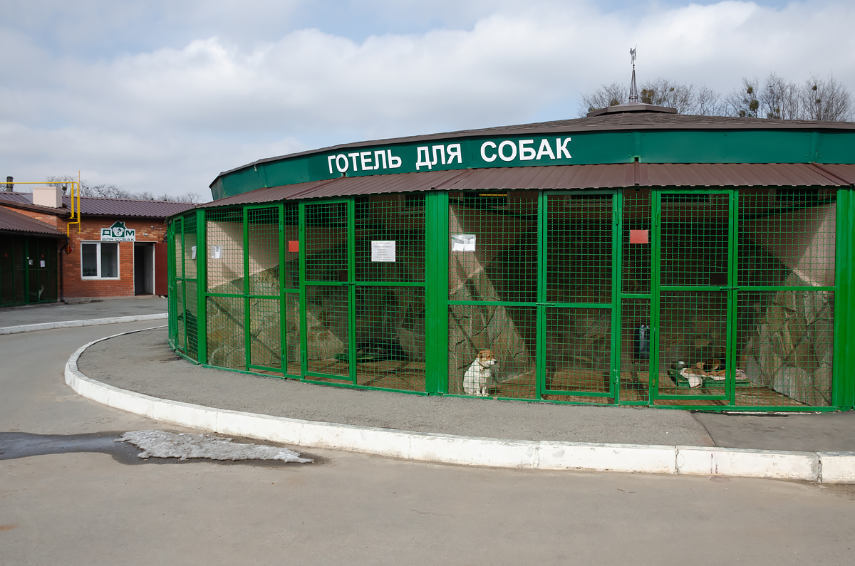 У міському притулку для тварин пройшла екскурсія для депутатів міськради