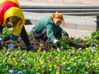 У Харкові почали висадку квітів