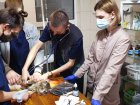 У притулку для тварин пройшов курс асистентів ветеринара