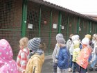 У притулку для тварин поновилися екскурсії
