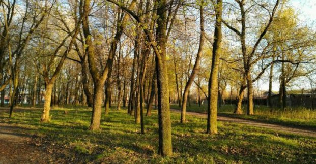 У Київському районі реконструюють Карякін сад і відкриють бібліотеку