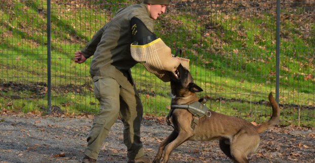 У парку Горького поліція проведе великий захід для дітей