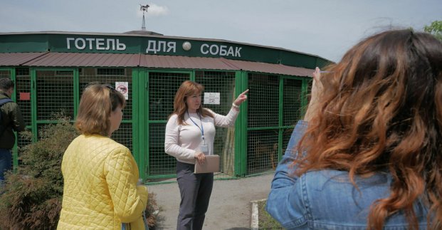 У Покровську будуватимуть притулок для безпритульних тварин за харківським зразком