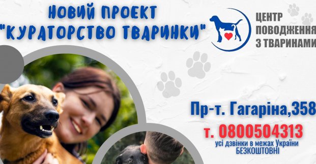 Харків’янам пропонують стати опікунами тварин із міського притулку
