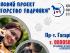 Понад 20 тварин з міського притулку знайшли своїх кураторів