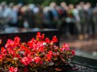 У план святкових заходів до Дня міста внесені зміни
