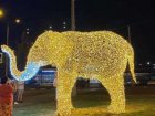 На вулицях Харкова з'явилися фігури мешканців зоопарку, які світяться