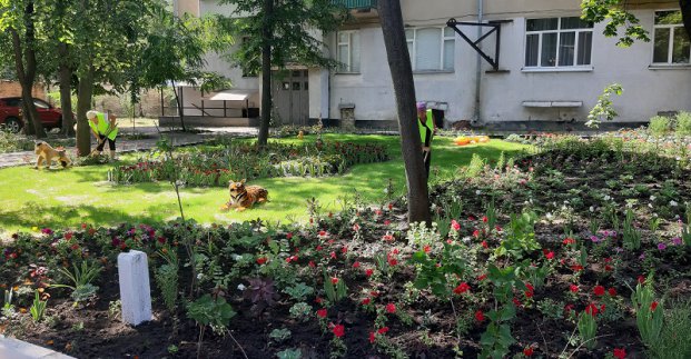 У місті триває конкурс на кращий двір
