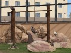 У Харківському зоопарку - новий авіарій