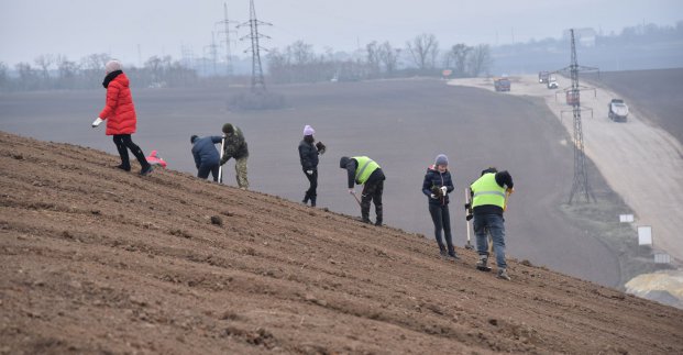 На Дергачівському полігоні висаджують тисячі дерев та кущів