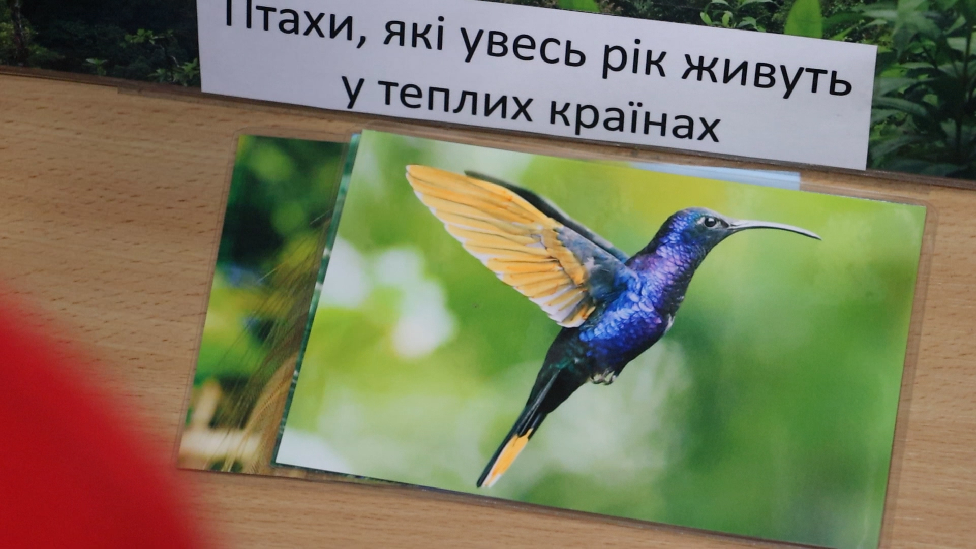 У Харківському зоопарку пройшов «День зими»