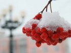 Завтра у Харкові - до 5 градусів морозу та невеликий сніг