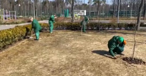 У парку Горького починають готувати квітники та алеї до відкриття сезону