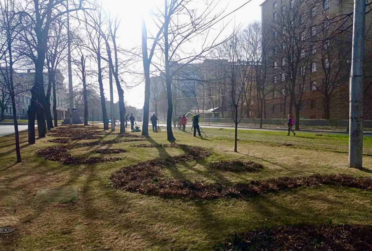 Проспект Незалежності традиційно прикрасять квітами