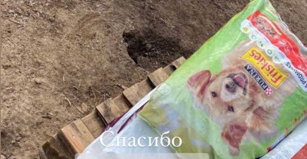 Харківський притулок для тварин передав корм в область