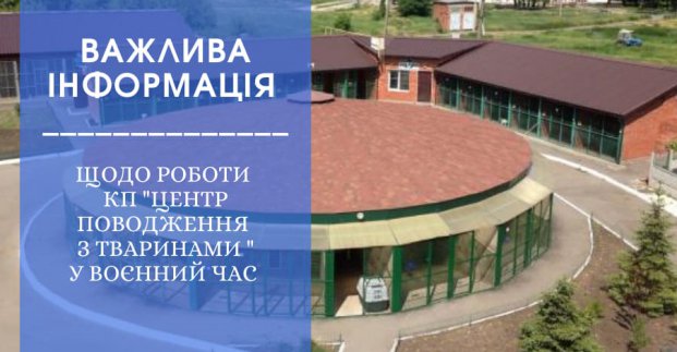 Допомога бездомним тваринам та робота ветклініки - харківський притулок продовжує працювати