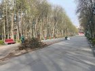 У парку Горького ліквідують наслідки ворожих обстрілів