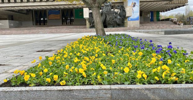 У Харкові розпочали висаджувати квіти 