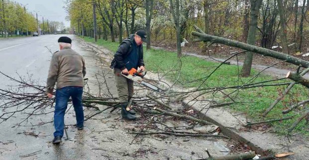 «Харківзеленбуд» розпилює та вивозить пошкоджені дерева 