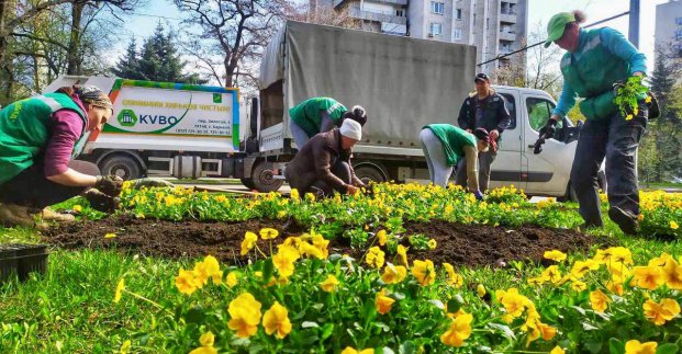 Центр Харкова прикрашають квітами