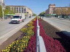 На проспекті Науки садять квіти