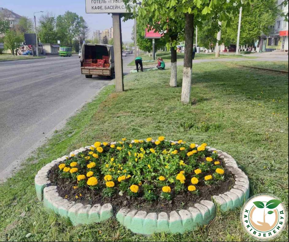 У Харкові облаштовують зелені зони