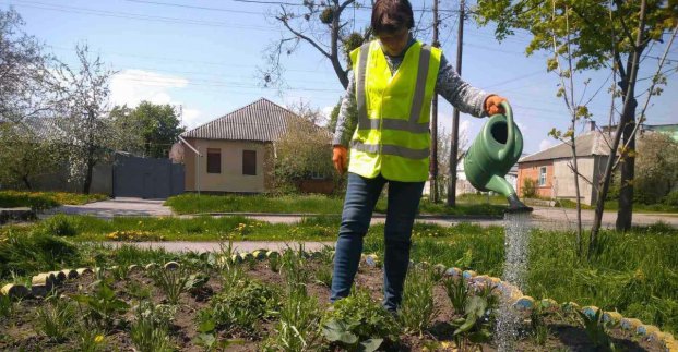 У місті продовжують підтримувати порядок та висаджувати квіти