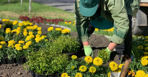 У Новобаварському районі висадили кілька тисяч квітів