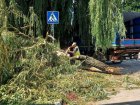 У Харкові продовжують усувати наслідки негоди