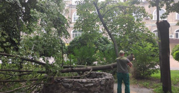 У місті продовжують прибирати дерева, які впали через сильний вітер