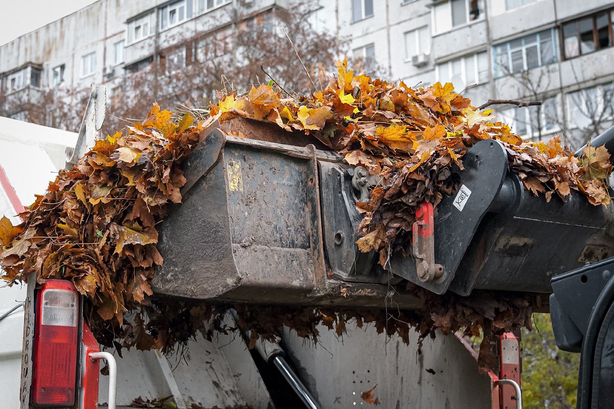 У Харкові завершують прибирання опалого листя