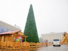 На майдані Свободи встановлюють новорічну ялинку