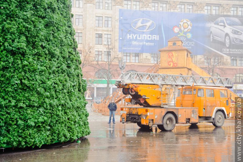 На майдані Свободи встановлюють новорічну ялинку