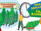 Харків’ян просять викидати ялинки у спеціально призначених для цього місцях